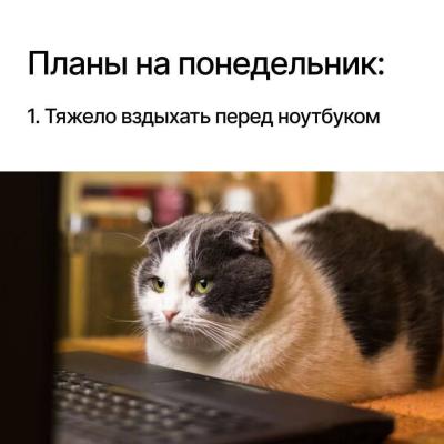 Фотография Kogobso