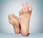 Фотография shulte