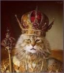 Фотография tonypizicatto