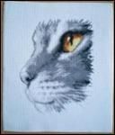 Фотография Ghostbz